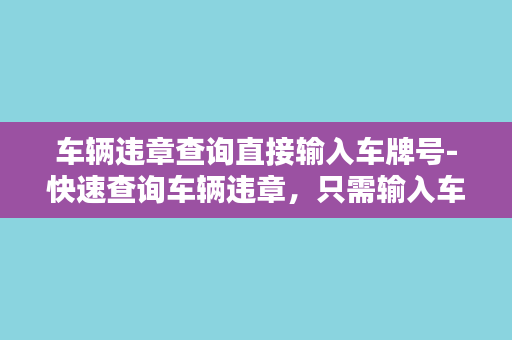 车辆违章查询直接输入车牌号-快速查询车辆违章，只需输入车牌号！