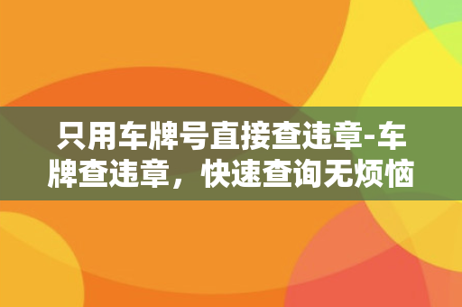 只用车牌号直接查违章-车牌查违章，快速查询无烦恼！