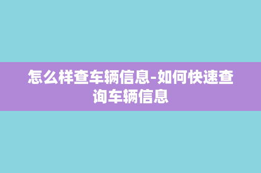 怎么样查车辆信息-如何快速查询车辆信息