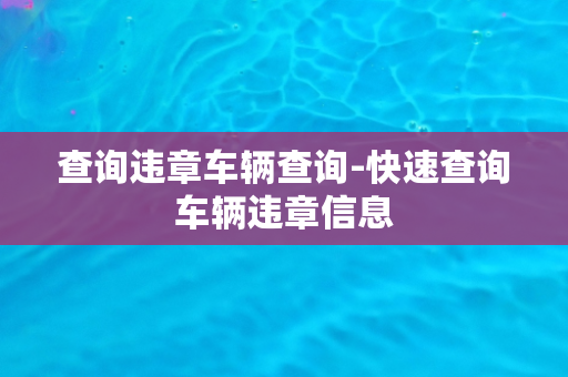 查询违章车辆查询-快速查询车辆违章信息