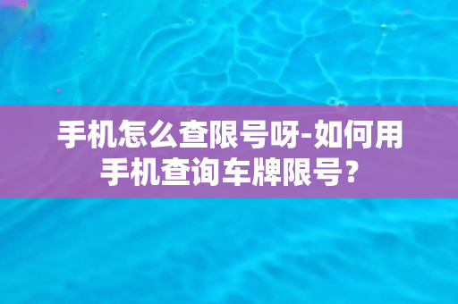 手机怎么查限号呀-如何用手机查询车牌限号？