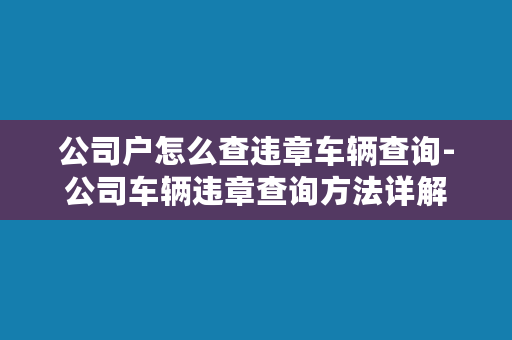 公司户怎么查违章车辆查询-公司车辆违章查询方法详解