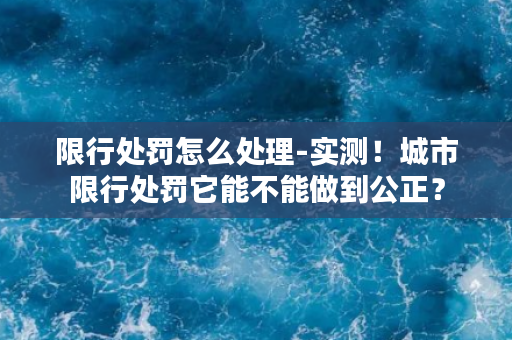 限行处罚怎么处理-实测！城市限行处罚它能不能做到公正？