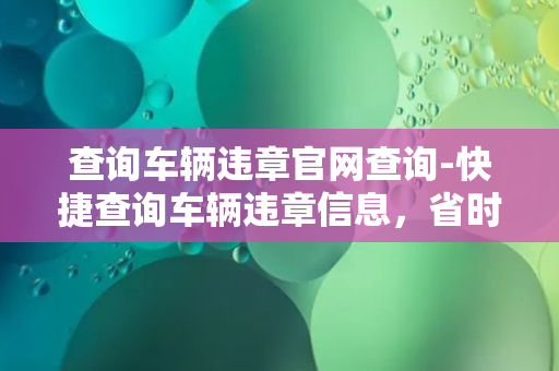 查询车辆违章官网查询-快捷查询车辆违章信息，省时省心