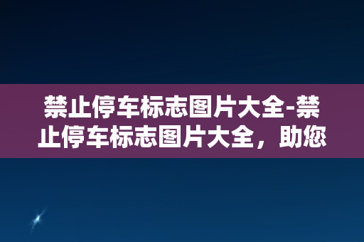 禁止停车标志图片大全-禁止停车标志图片大全，助您快速了解交通标志含义