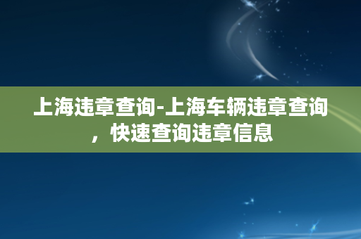 上海违章查询-上海车辆违章查询，快速查询违章信息