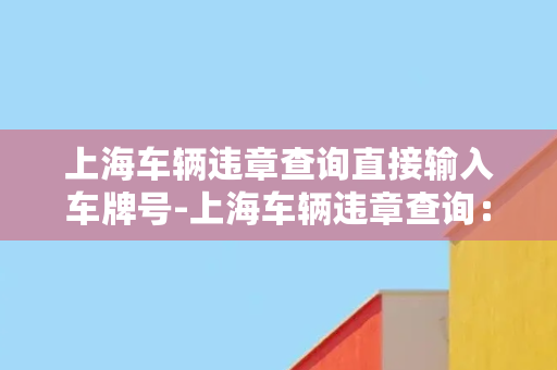 上海车辆违章查询直接输入车牌号-上海车辆违章查询：快速查询您的车辆违章记录