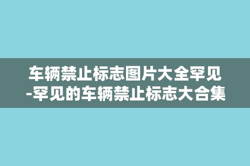 车辆禁止标志图片大全罕见-罕见的车辆禁止标志大合集，震撼你的眼球！