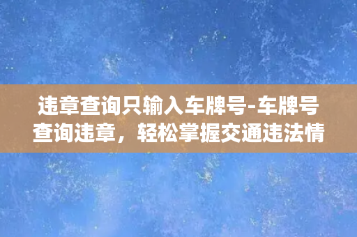 违章查询只输入车牌号-车牌号查询违章，轻松掌握交通违法情况。