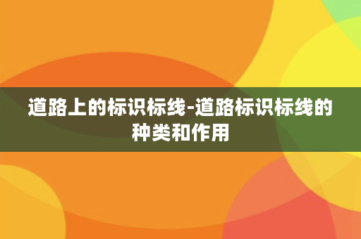 道路上的标识标线-道路标识标线的种类和作用