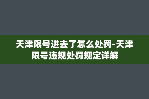 天津限号进去了怎么处罚-天津限号违规处罚规定详解