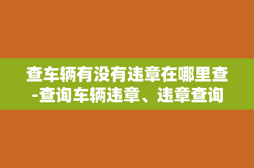 查车辆有没有违章在哪里查-查询车辆违章、违章查询的方法及网站推荐