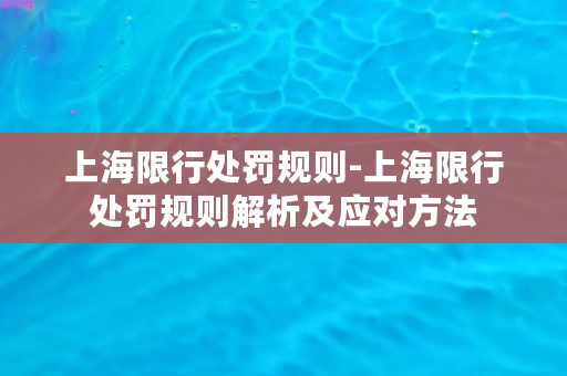 上海限行处罚规则-上海限行处罚规则解析及应对方法