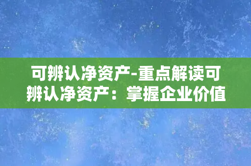 可辨认净资产-重点解读可辨认净资产：掌握企业价值核心指标