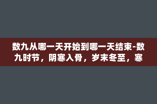 数九从哪一天开始到哪一天结束-数九时节，阴寒入骨，岁末冬至，寒梅吐芳。